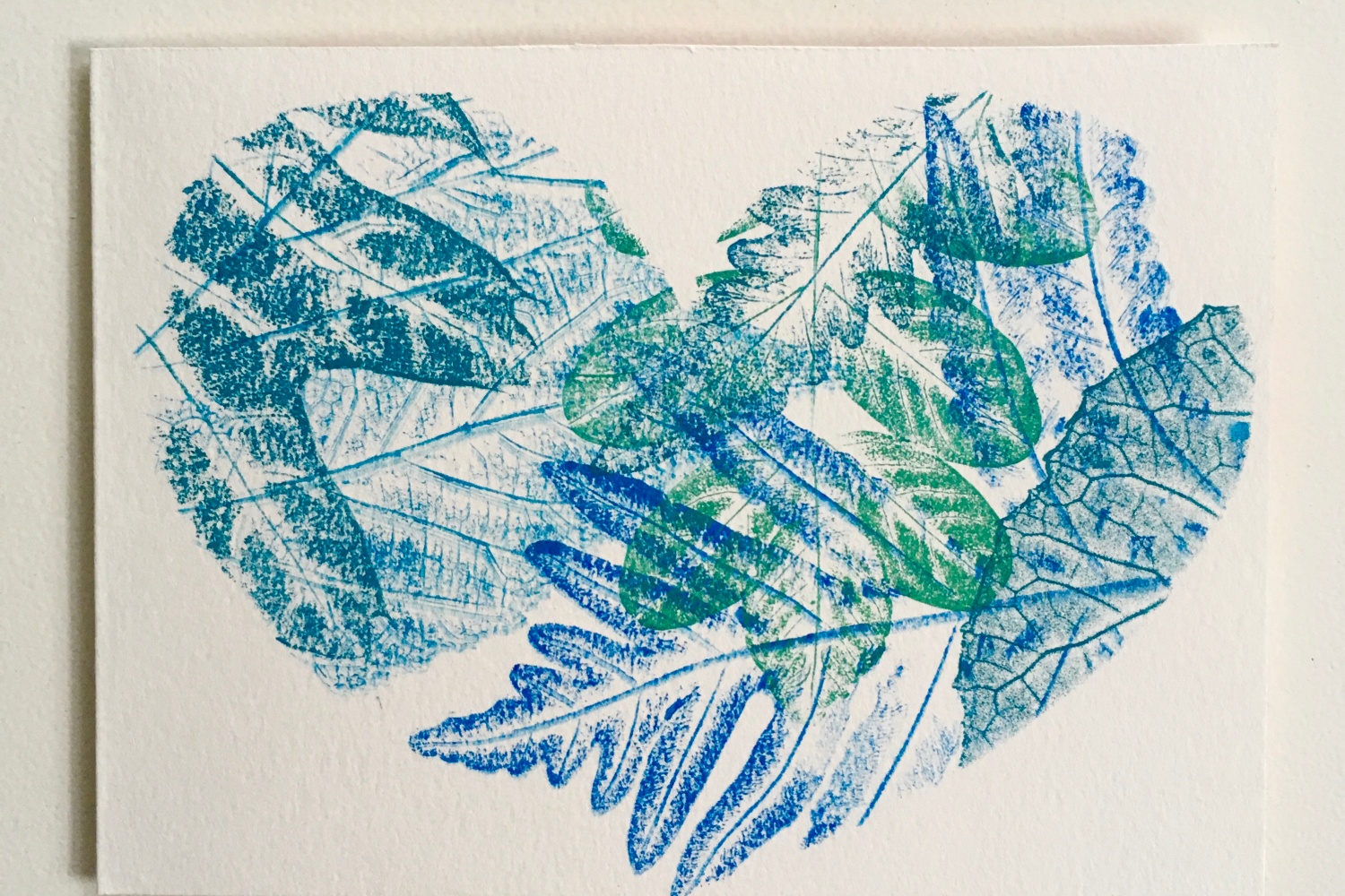Shelburne Craft School — Printmaking Kit: Colorful Plants
